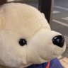 さちえさんの日常's profile picture