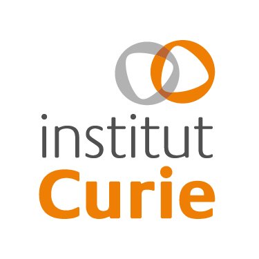 Institut Curie's profile picture