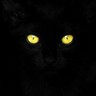 Profilbild von SeriouslyJMH