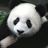 Sallor's profile picture