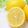 Lemon 的头像