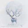咦，大梨's profile picture