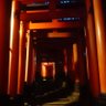 セリザワ 的头像