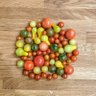 FarmerSam profil fotoğrafı