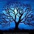 Blackthorn profil fotoğrafı