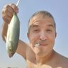 Shiko Cohen's profile picture