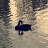 BADR's profile picture