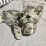 noy 的头像