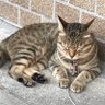 ひなこ profil fotoğrafı