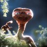 Profilbild von Jeck op Nase