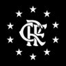 Sempre Flamengo ᶜʳᶠ profil fotoğrafı