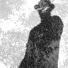 el anticristo profil fotoğrafı
