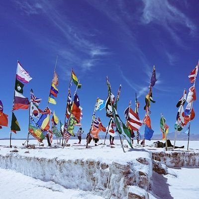 森川すいめい's profile picture