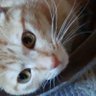 槙耶神那(まぎや かんな) profil fotoğrafı