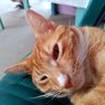 COATZITA's profile picture
