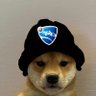 CavmanRL's profile picture