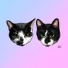 Fran and Fiona AKA Salt and Peppore's profile picture