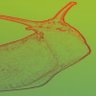 Big Wet Slug Slightly Less Miserable Bugger's profile picture