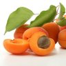 Фото профиля apricot 🍑