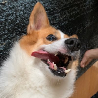 kohina0506's profile picture