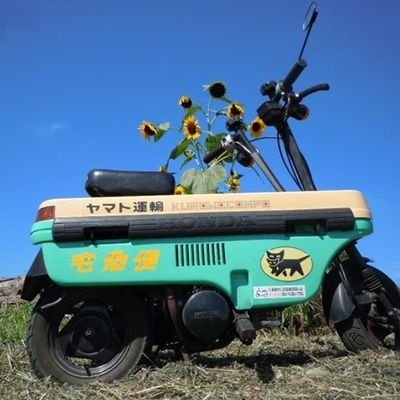 komekomeplug's profile picture