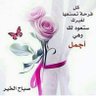 Profilbild von Sayed Ghammari