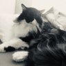 jmgraham6's profile picture