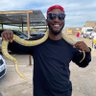 vee-o's profile picture