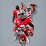 BUCKEYE FAN's profile picture