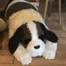 山田太郎's profile picture