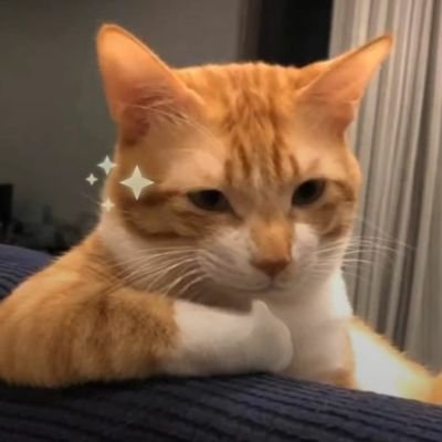 yixin0071's profile picture