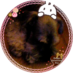 siniasu's profile picture