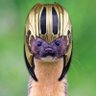 Profilbild von Eivan
