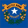 Nevada Lacrosse News's profile picture