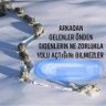 Mutlu A.'s profile picture