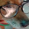 Smichakorn sirspornpan's profile picture