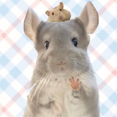 うにといくら's profile picture
