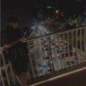 If2is2l 的头像