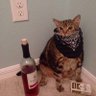Tony Just Tony's profile picture