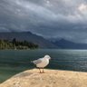 Gagun profil fotoğrafı