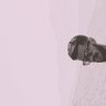 M0NADA's profile picture