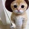 パホイホイ's profile picture
