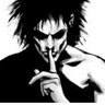VT Rising's profile picture