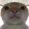 Moi's profile picture