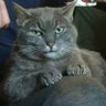 Profilbild von Yoshi2956