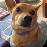 GreenP0ison's profile picture
