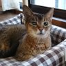 mie profil fotoğrafı