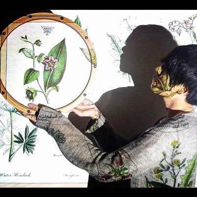 tsukumoyaren's profile picture