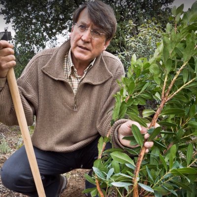 Joaquín Araujo's profile picture