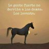 Fernando Adolfo Castillo's profile picture